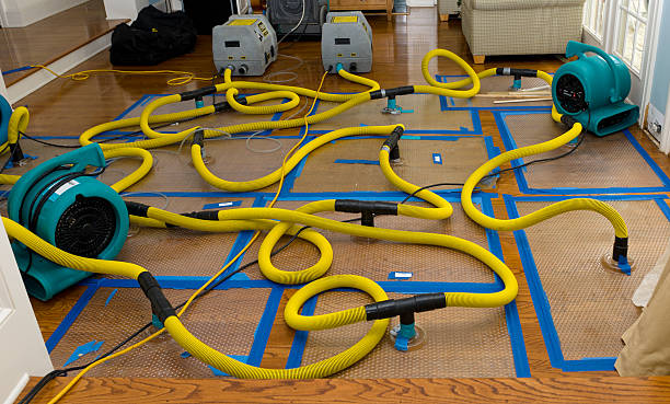 Professional Crawl Space Water Removal technician working in Long Beach, IN